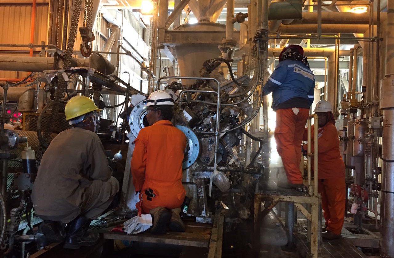 Plant Process Maintenence